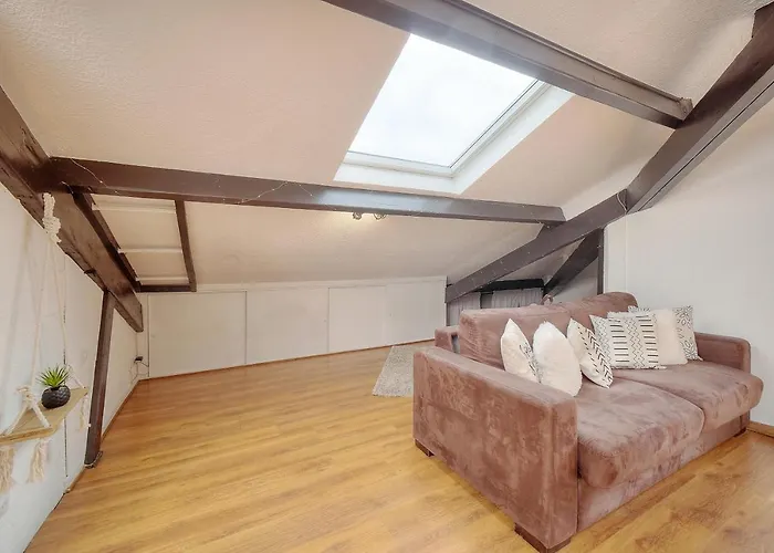 Le Mika - Calme Elegant - Vca كان